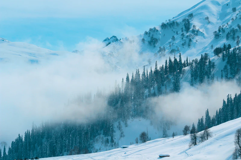 Snow-covered mountains and pine trees rising through the clouds in Gulmarg