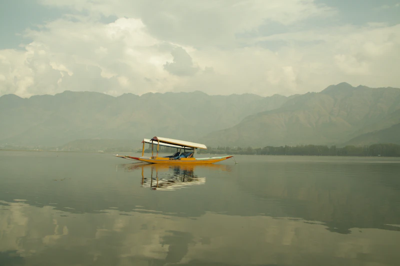 A yellow shikara on the still water of Dal Lake in Srinagar