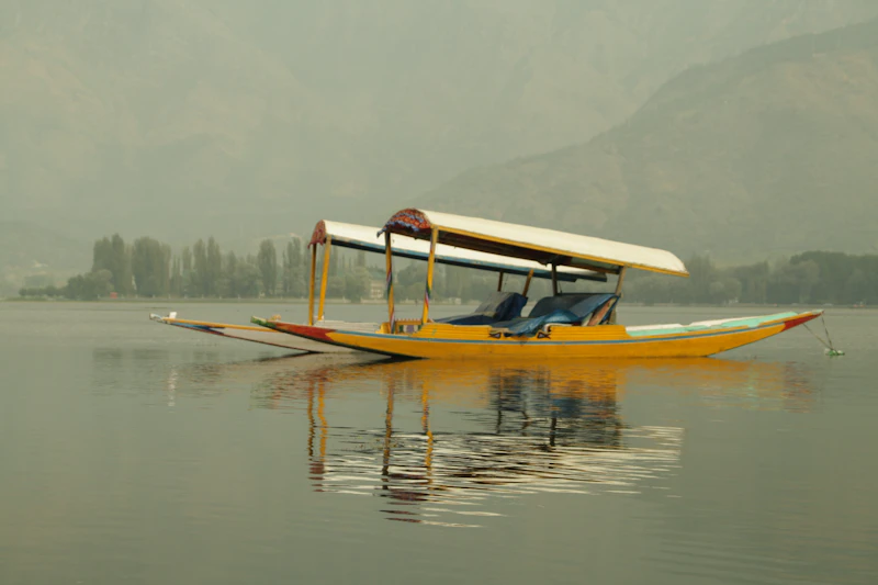 Traditional boats on Dal Lake in the evening