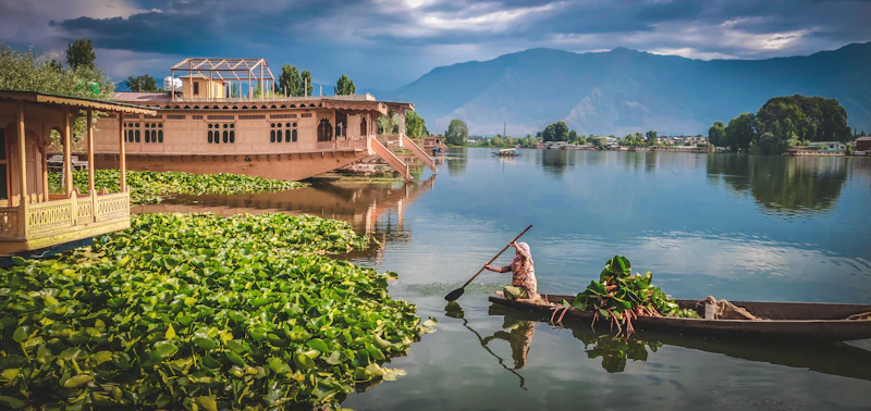 A small boat on Dal Lake alongside houseboats and floating plants