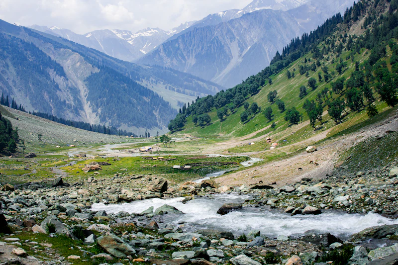 A green valley and mountain stream in Sonamarg